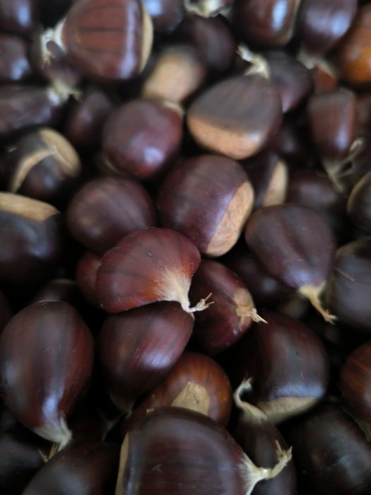 Castanhas caseiras