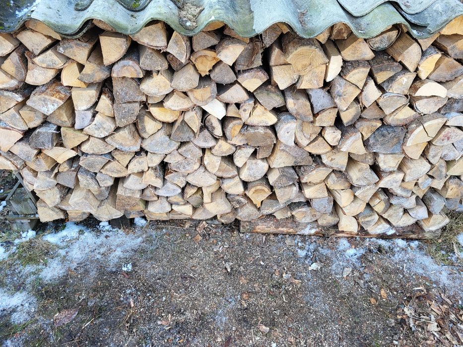 Drewno drzewo opałowe kominkowe