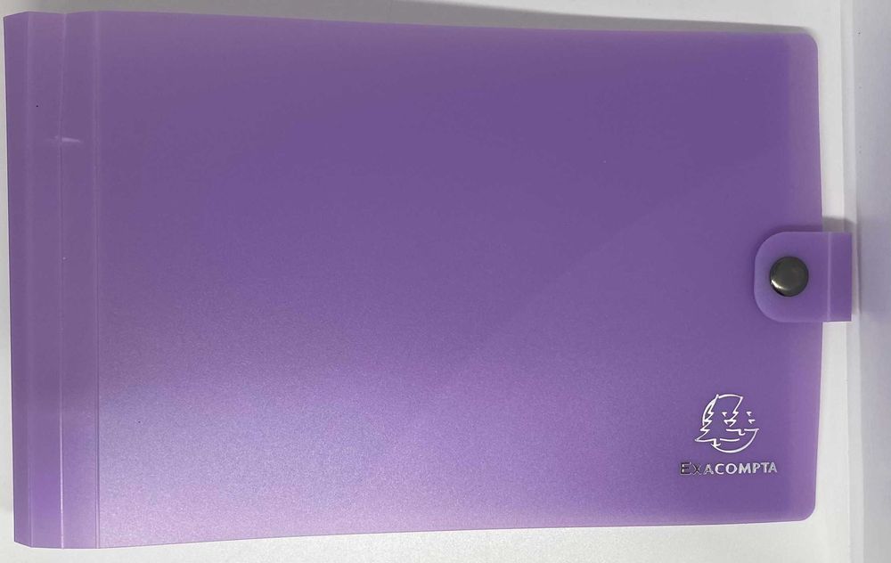 Segregator 2 okrągłe pierścienie Exacompta