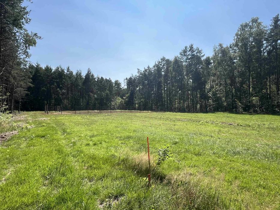 Działki budowlane ZALESNA (Gmina Bełchatów)