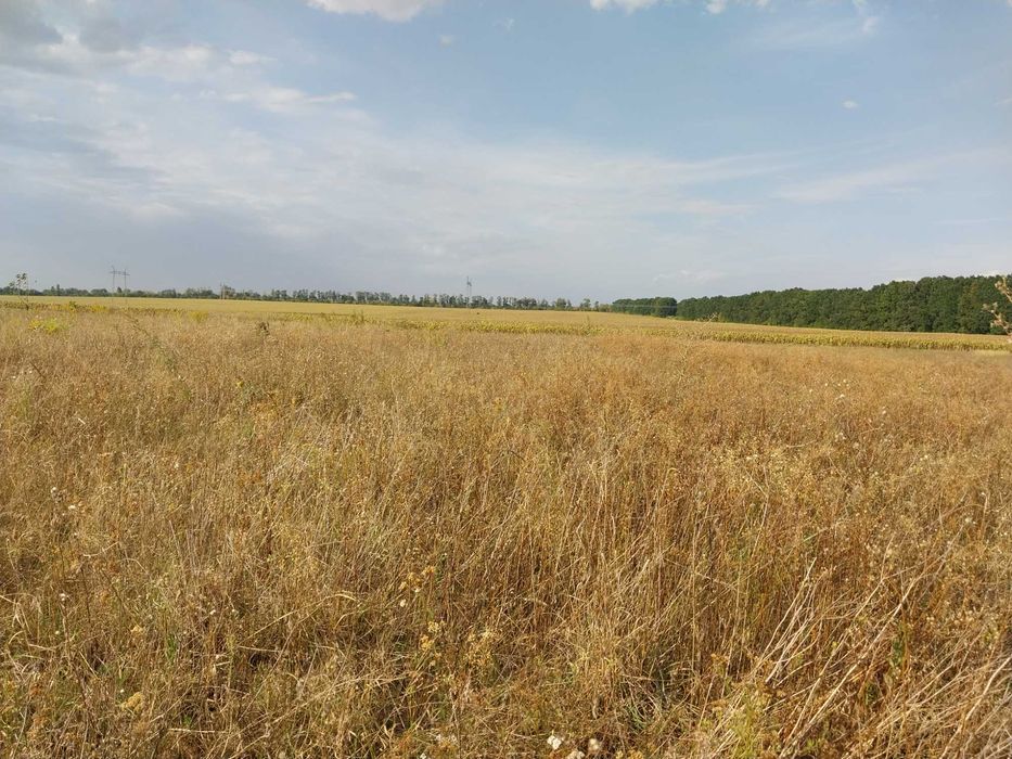 Продам земельну ділянку в  с. Горбанівка