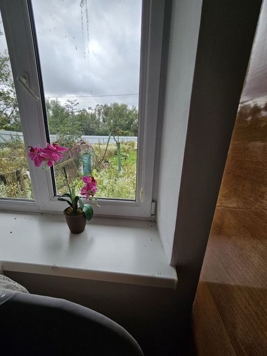 Продаж будинку, біля озера, Малашівці