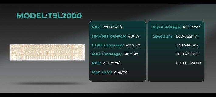 Growbox Mars Hydro Namiot Zestaw Lampa TSL 2000 Kompletny nowy