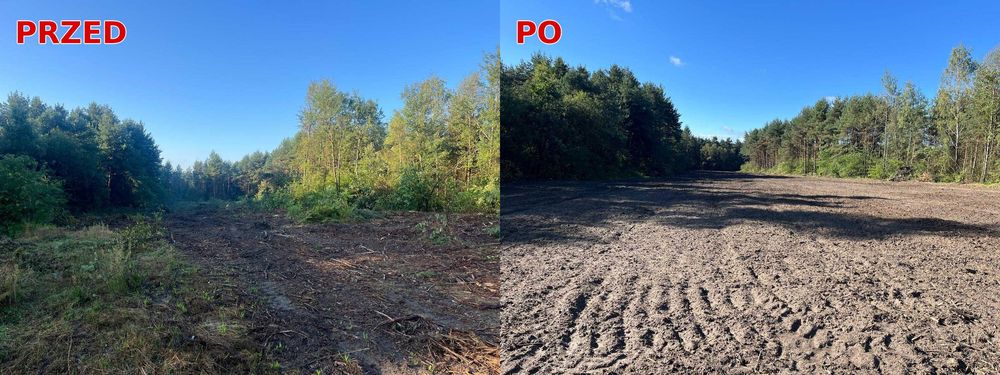 Karczowanie działki Chrzanów | czyszczenie zarośniętych działek