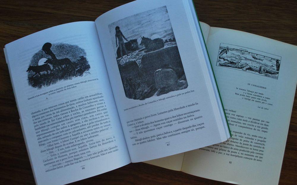 O Livro da Selva e Segundo Livro da Selva de Rudyard Kipling