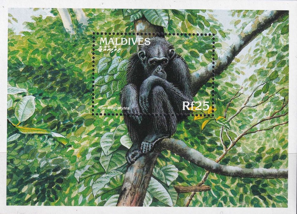 Malediwy 1996 cena 6,50 zł kat.6€ (2) - fauna