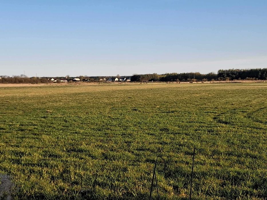 Łąka 0,86ha koszona dobrze utrzymana na sprzedaż