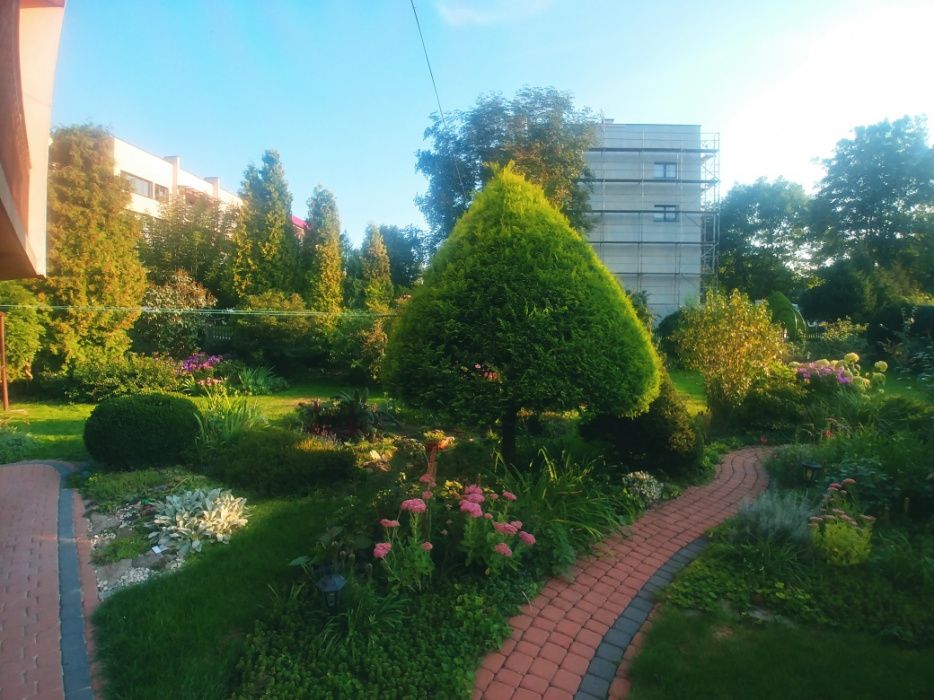 Przycinanie tui i żywopłotów, wertykulacja trawnika, koszenie traw