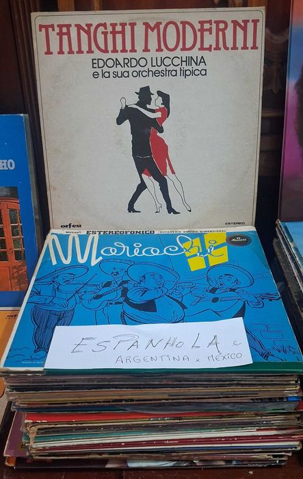 Vários discos de vinil 33 rpm de vários estilos