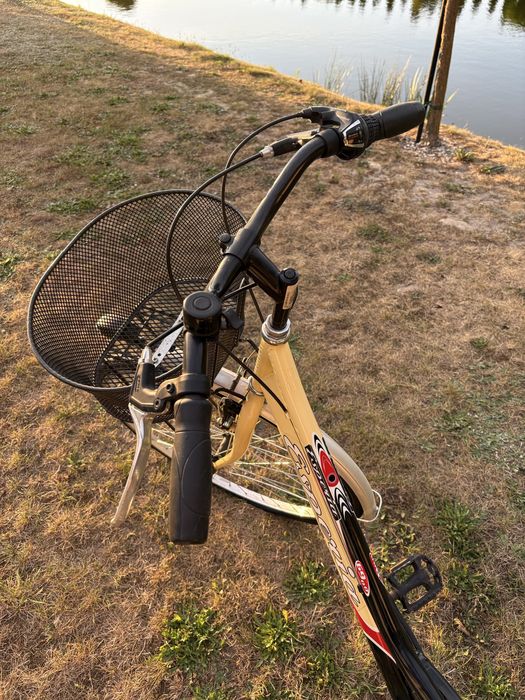 Rower miejski Esperia