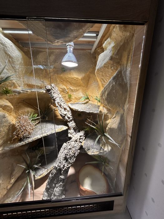 Duże terrarium 85 × 60 × 52,5 cm – kompletne wnętrze