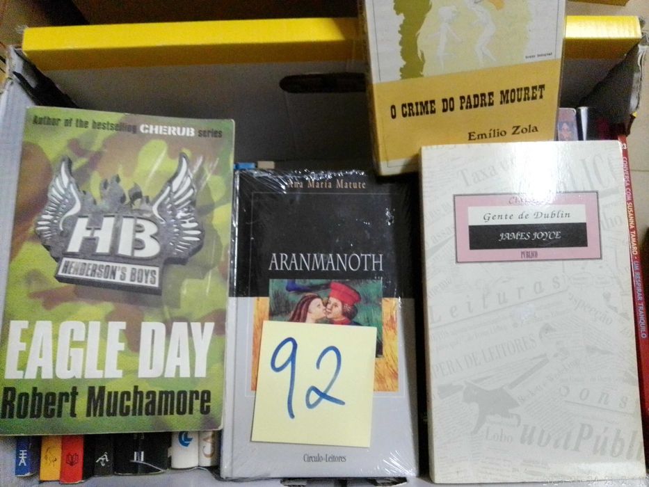 LIVROS Diversos  VENDIDOS EM SEPARADO Vários Preços LOTES 90 + 92 + 93