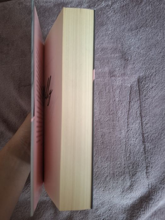 Książka "Perfect on paper"