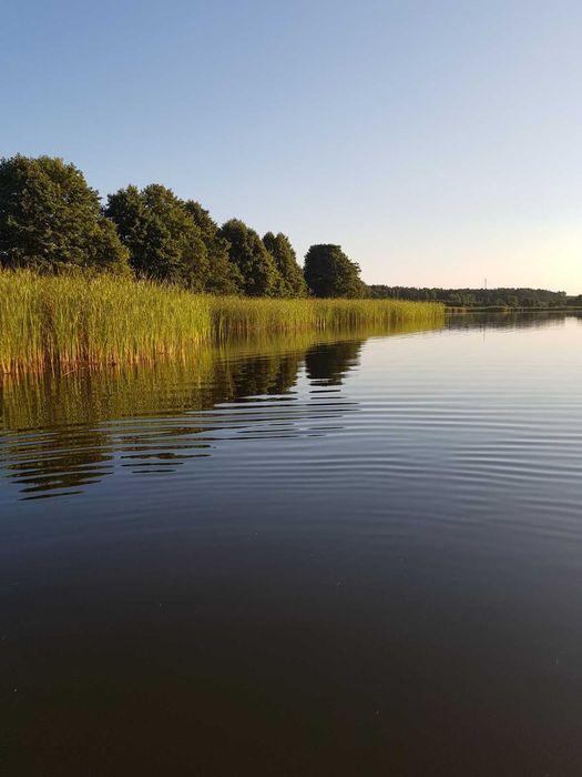 Działka nad Jeziorem Krąg. Najem