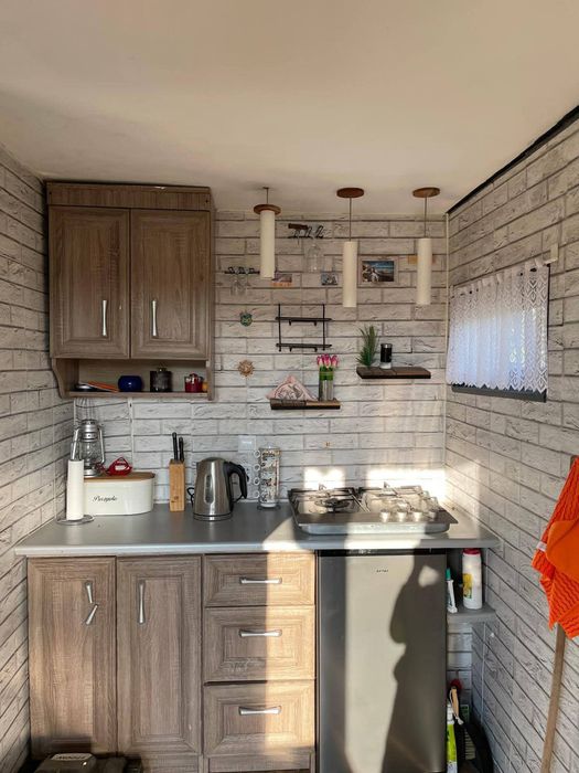 Ogródek działkowy Rod Tulipan