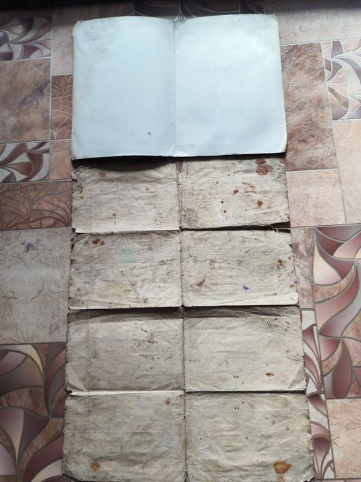 Благодарственное письмо (За нашу Советскую Родину).