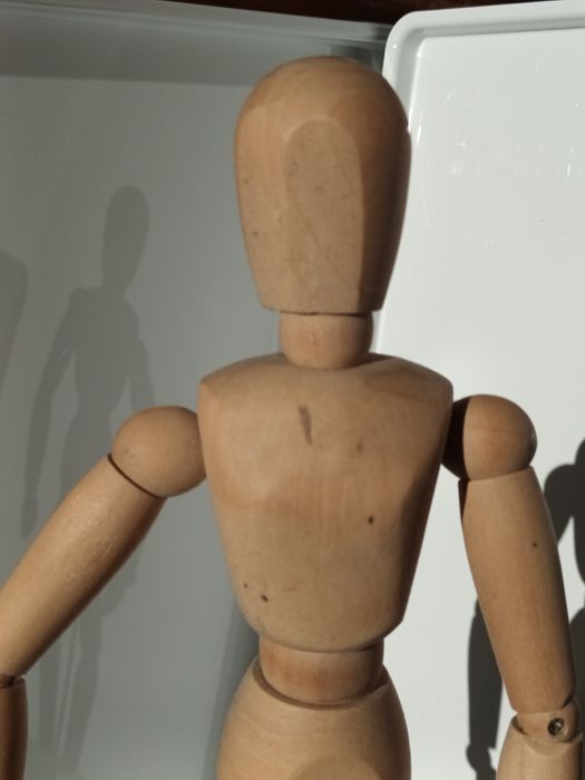 Modelo Anatómico de madeira