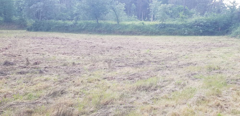 Terreno/6000m2/ Parte dele com licença de construção