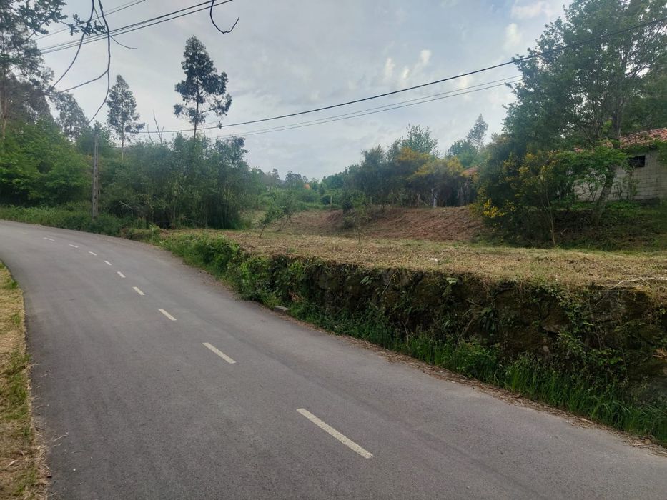 Terreno 1000 m² com construção – São Vicente de Lafões | Perto da A25 | Oportunidade