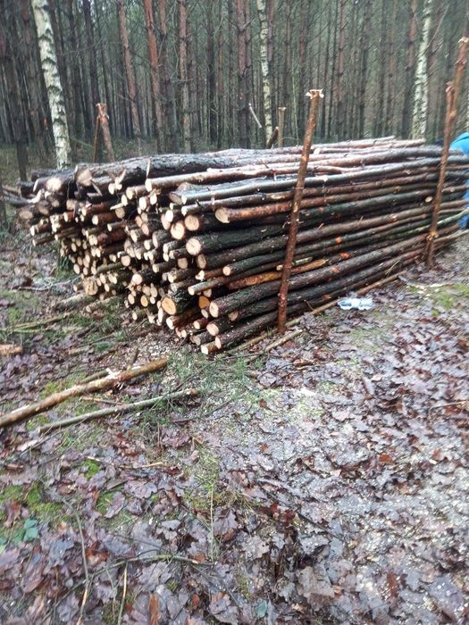 OKAZJA Drewno  opałowe