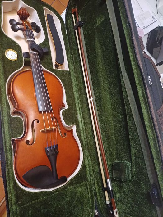 VIOLA D'ARCO como nova