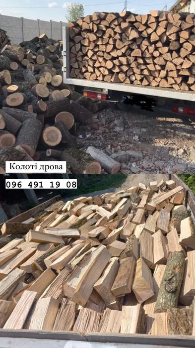 Дрова колоті твердих порід