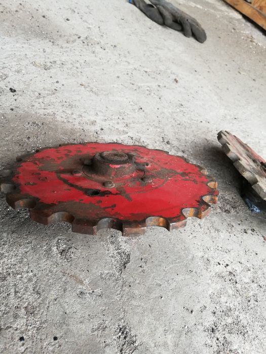 Koło zębate Massey Ferguson podajnik