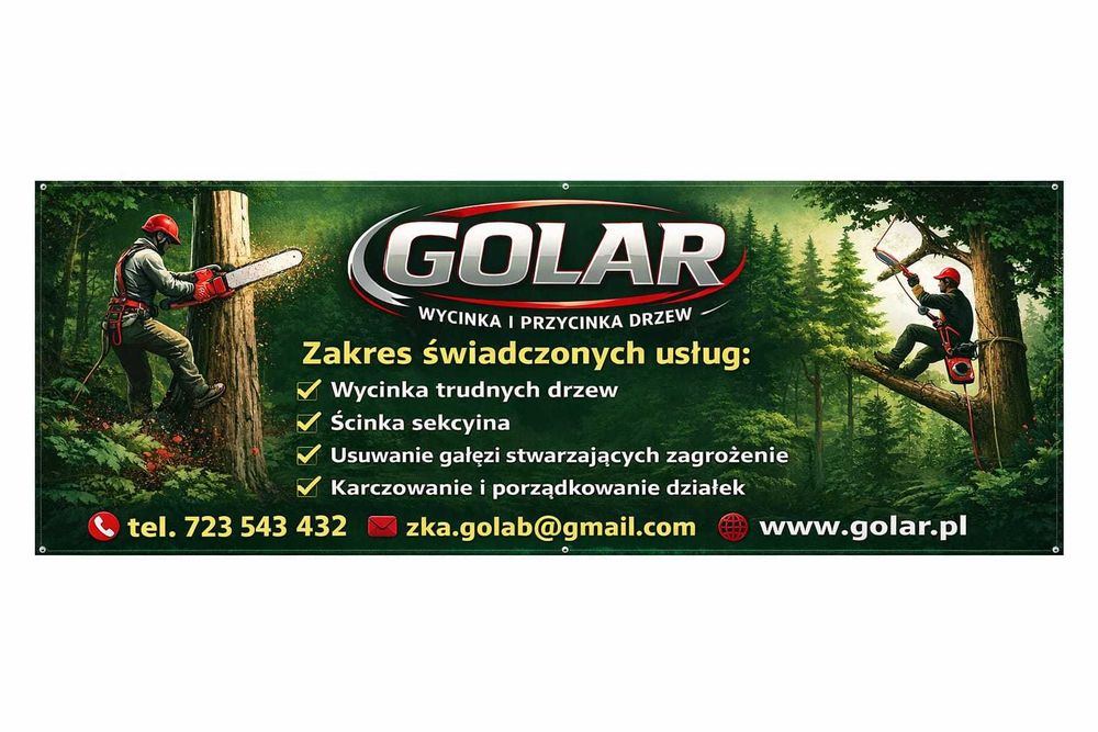 Wycinka i przycinka drzew