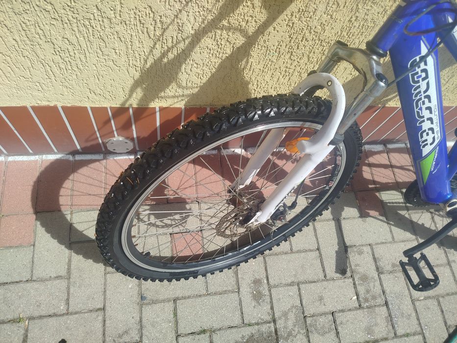 Rower Forester Raptor
