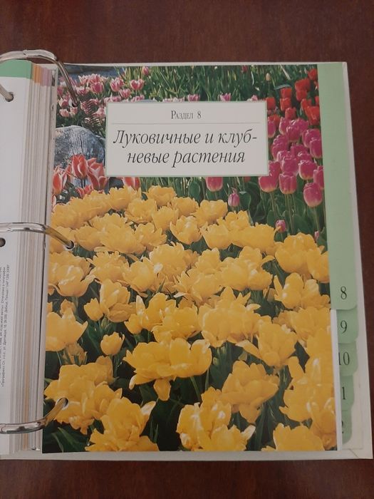 Журнал про рослини