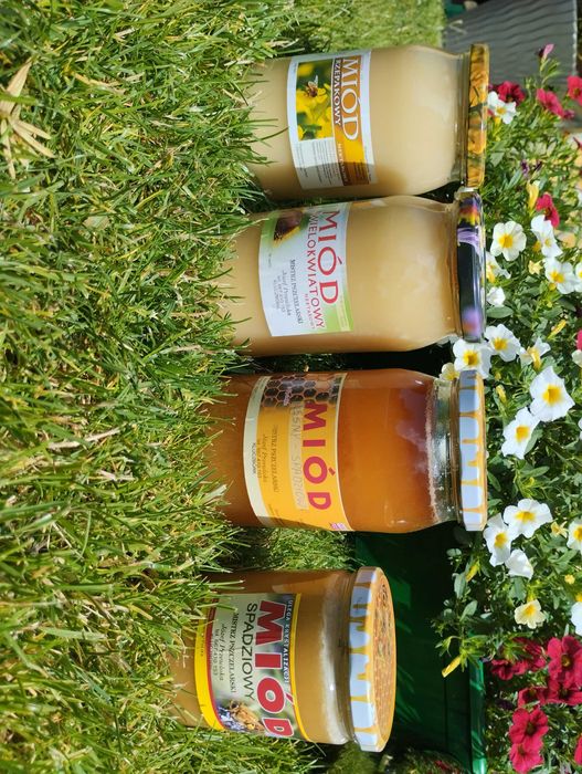 Świeży miód z własnej pasieki