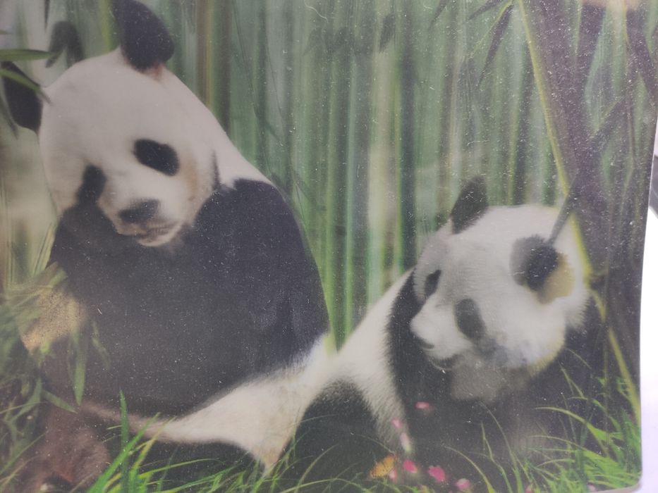 Holographic Panda Mouse Pad429593905196574721