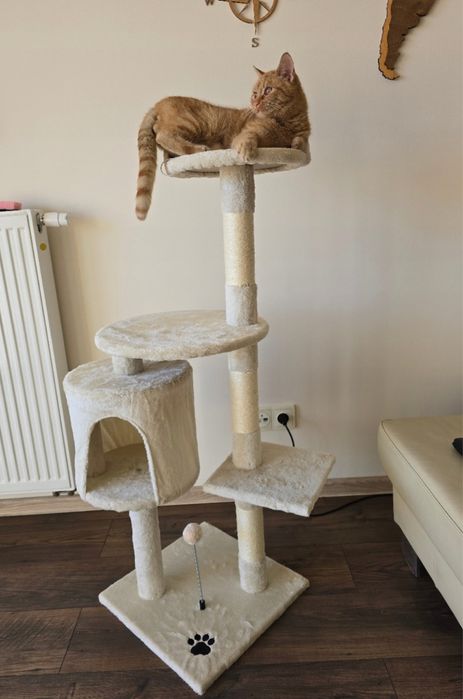 Drapak dla kota nowy bezowy 116cm 5 poziomow domek wieza pileczki