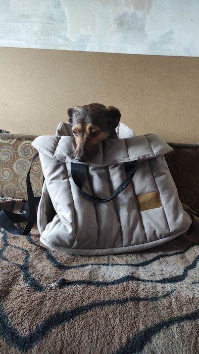 автокресло для собак lars and co