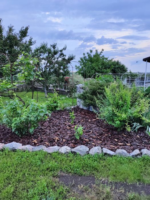 Уютный дом с красивым видом.