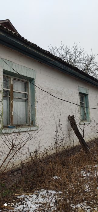 Продам добротний будинок біля річки Десна в селі Надинівка