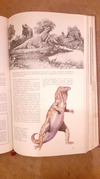 O Grande Livro Do Maravilhoso E Do Fantástico