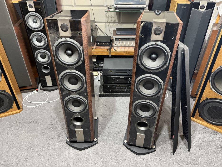Focal chorus 826v noyer
