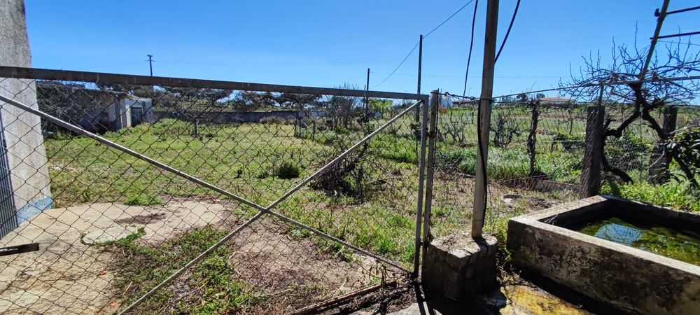 Terreno Ourique água e luz