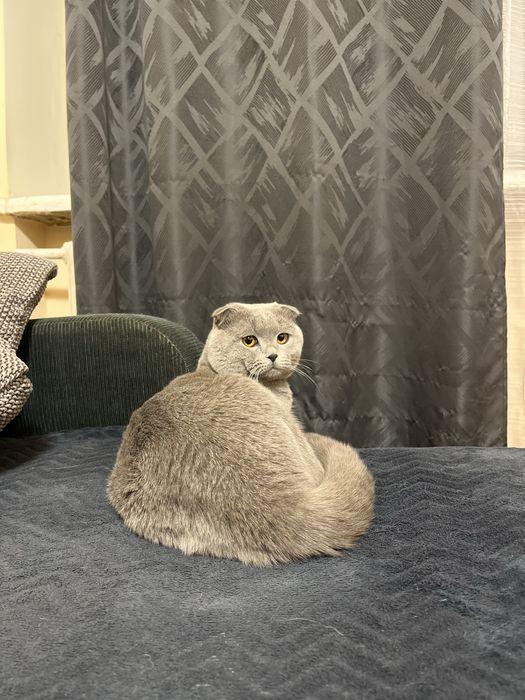 Запрошуємо на вʼязку