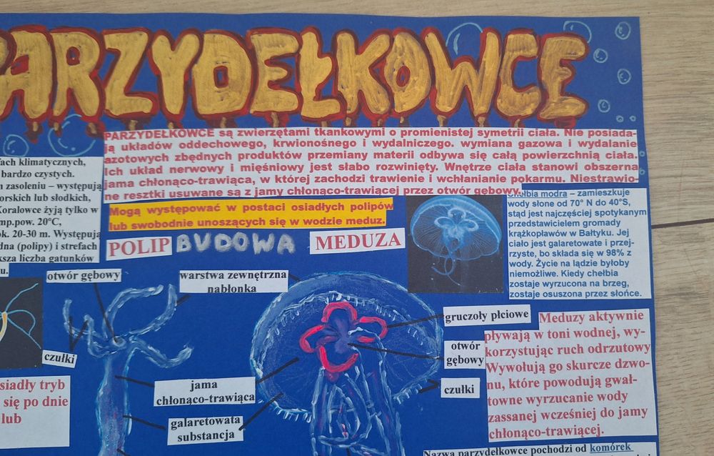 Plakat na biologię parzydełkowce