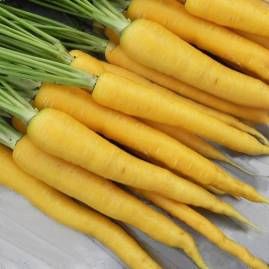 Sementes de aromáticas e hortícolas biológicas certificadas