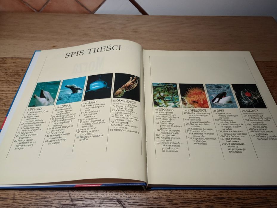 Morza i oceany. Encyklopedia dzikich zwierząt.