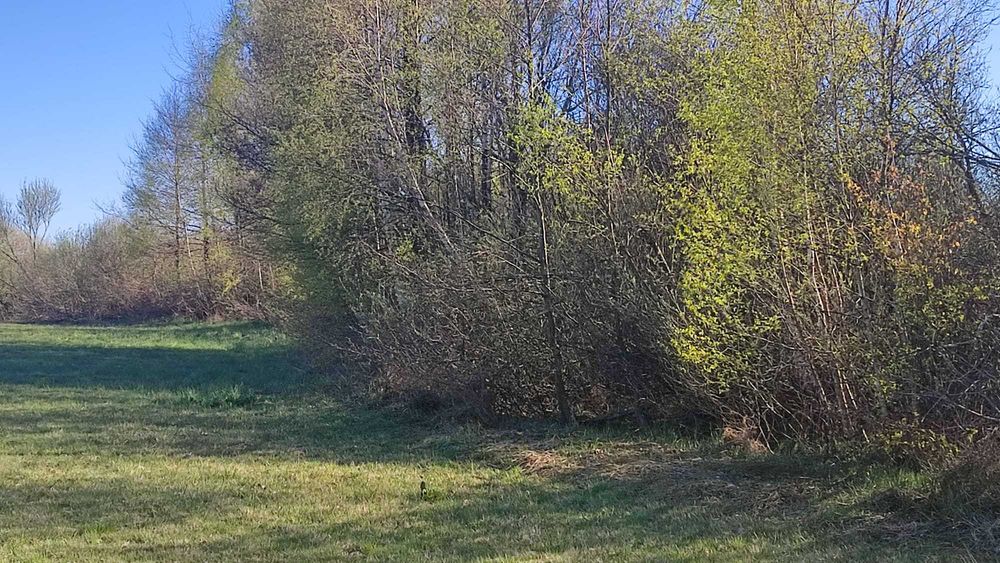 Sprzedam działkę na wzgórzu, blisko jeziora, Włodowo - Widok 5