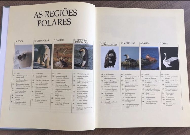 Animais das regiões polares