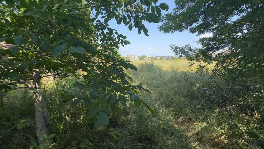 (5) Продам ділянку в с.Велика Бушинка 1122