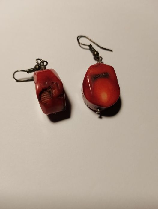 Koral robaczywka- kolczyki