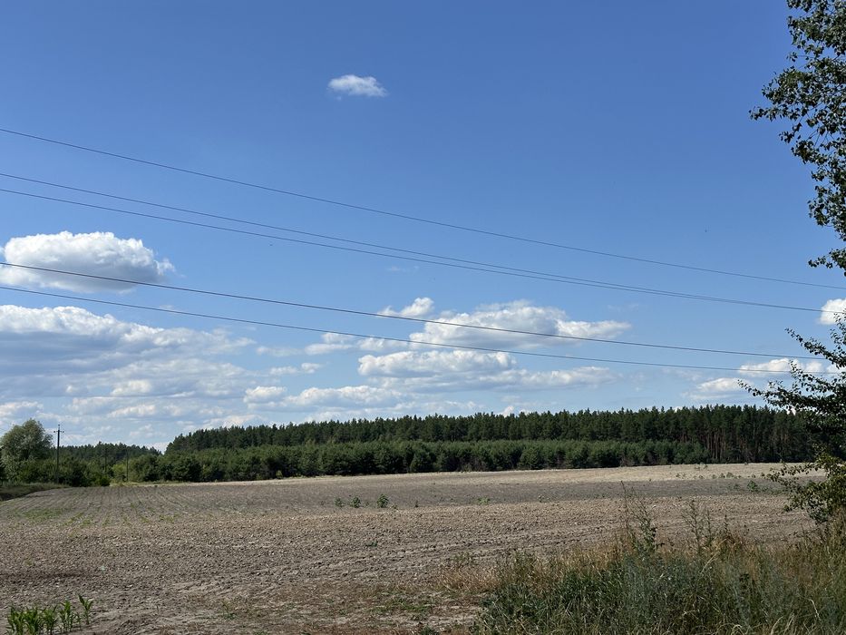 Земельні ділянки біля Житомирської траси! Від 4,5га