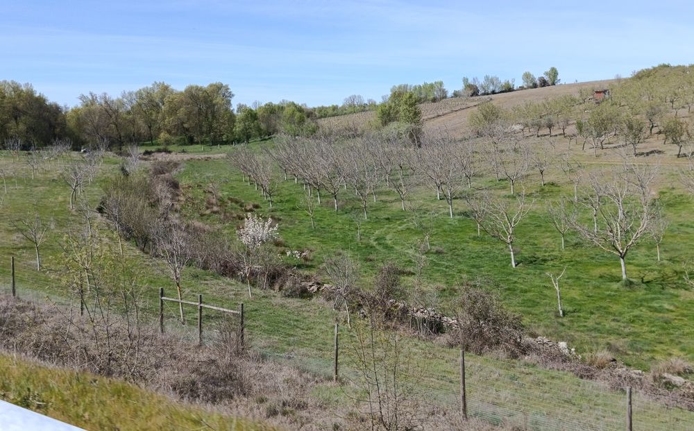 10 Hectares (100.000m2)  Terreno Agrícola Duas Igrejas Miranda do Douro, bem localizado, água e com maquinaria agrícola
