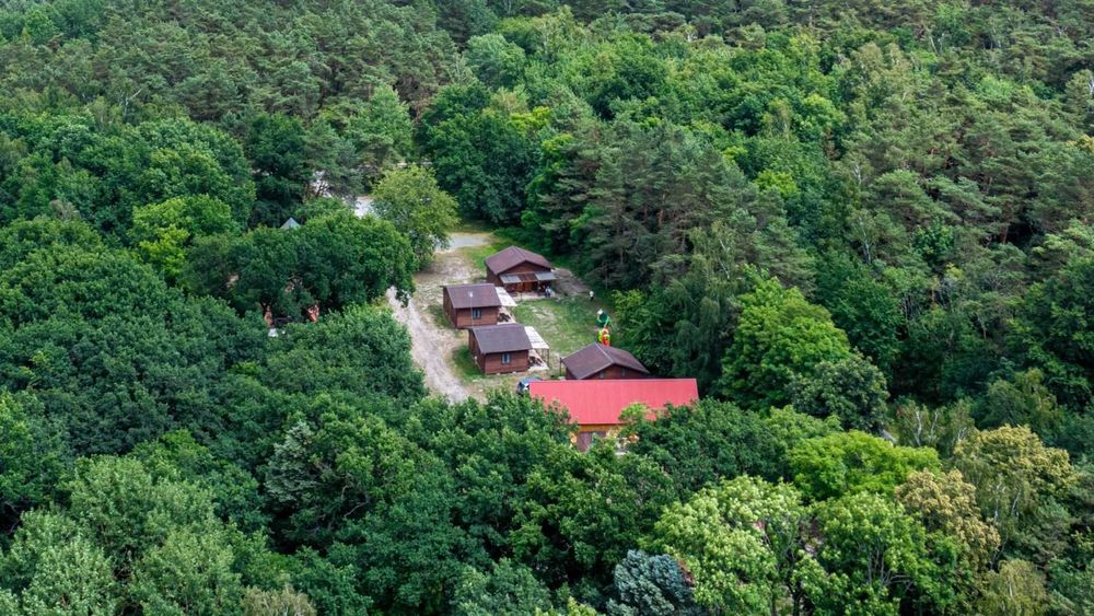Apartamenty w Krynicy Morskiej i Domki blisko morza